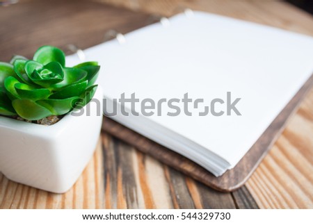 Plant with note book on wood background