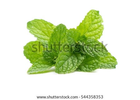 mint leaves isolated on white background. Royalty-Free Stock Photo #544358353