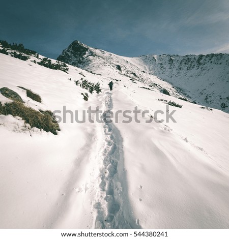 western carpathian mountain tops in winter covered in snow on a sunny day. slovakia - instant vintage square photo
