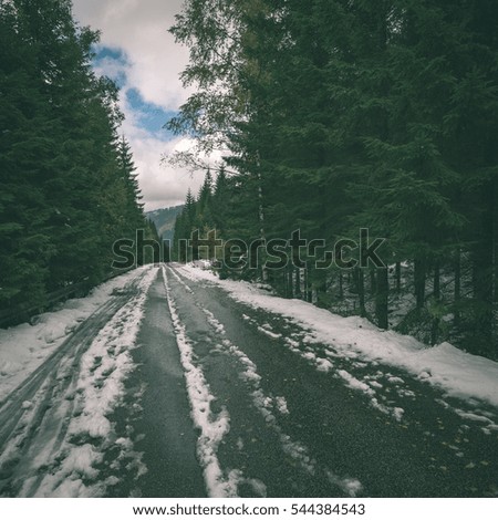 the road ahead. countryside in winter, trees and shadows - instant vintage square photo