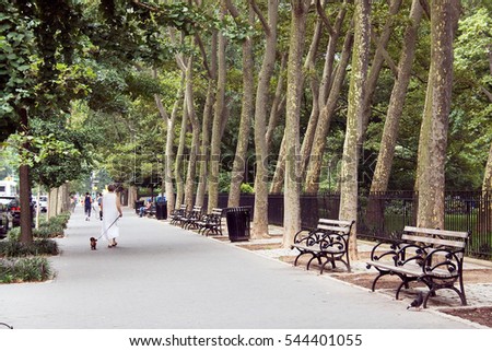 Lady and dog walking down a street with benches and trees in the Upper West Side, Manhattan, New York Royalty-Free Stock Photo #544401055