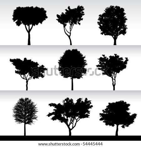 Trees  silhouette