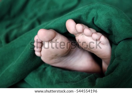 Feet Wrapped in Green cozy warm blanket
 
