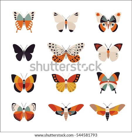 Various patterns of butterflies vector illustration flat design