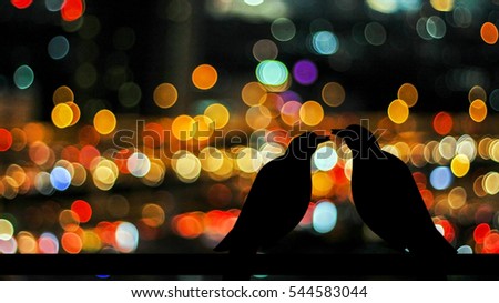 abstract silhouette a couple sleepless bird live together on night light bokeh in background fight with city scape