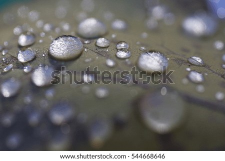 Shallow depth of field view, soft focus macro image of dew drops on the surface of an aspen leaf in autumn