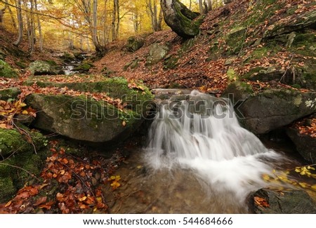 autumn forest  landscape with waterfall