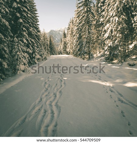 sunny tourist hiking track in winter snow, in western carpathian, tatry mountains - instant vintage square photo
