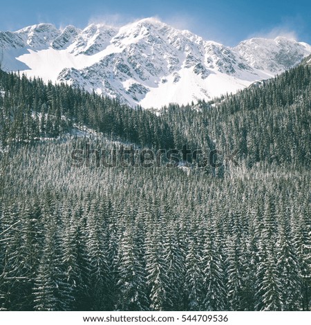 Beautiful landscape view of Western carpathian, Tatry mountains in winter - instant vintage square photo