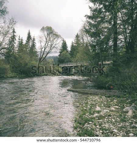 mountain river in summer with stream and high water in forest - instant vintage square photo