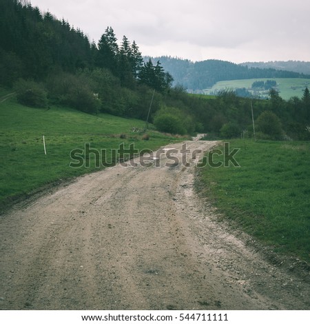 simple country road in summer at countryside with trees around - instant vintage square photo