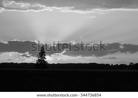 Black and white sunset