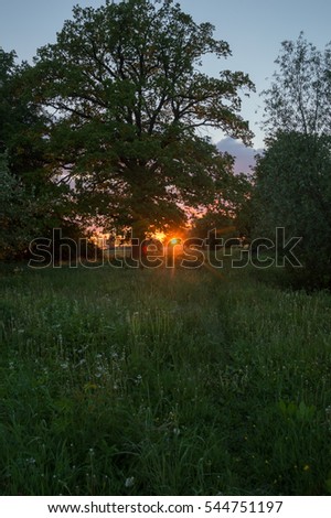 Spring sunset and blossom