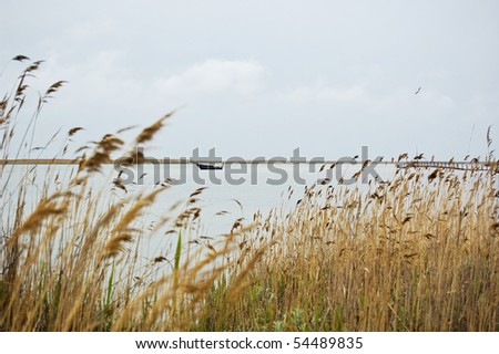 Abandoned wooden boat on the lake overgrown with reed Royalty-Free Stock Photo #54489835