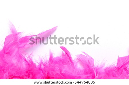 Pink feathers on a white background Royalty-Free Stock Photo #544964035