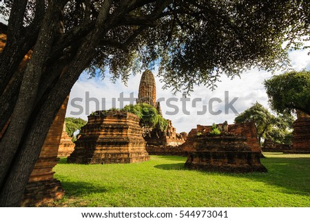 Pagodas are historic centre of Ayutthaya, Thailand. bottom of red brick pagodas,  old tree and grass are foreground, blue sky is background of picture. 