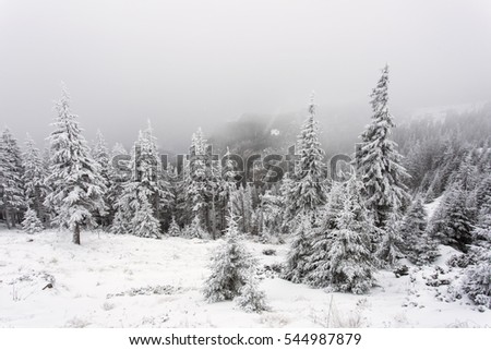 Mysterious winter landscape majestic mountains in winter. Magical winter snow covered tree. Photo greeting card. Bokeh light effect, soft filter. Carpathian. Romania. Europe