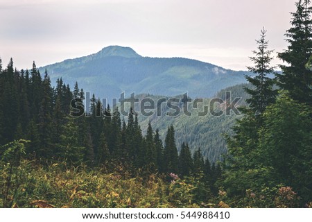 colorful countryside view in carpathians. mountains and forest trees with green meadows - vintage retro look