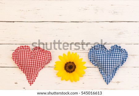 Red and blue heart with flower, love background for Valentines Day, Anniversary or Wedding.