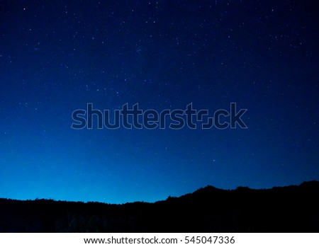 Blue dark night sky with many stars above field of trees. 