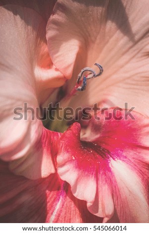 Beautiful defocus blur background with tender flowers - vintage retro look
