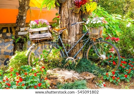 flower garden and old bicycle