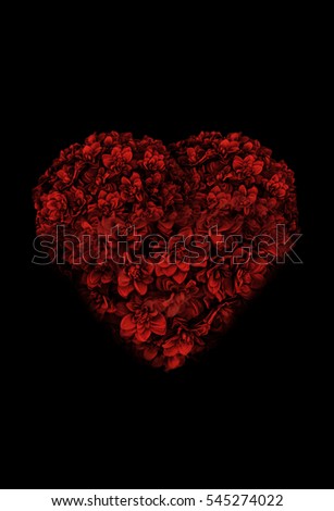 Romantic Red Valentines Day Heart Shaped Rose Flower Bouquet on Dark Background