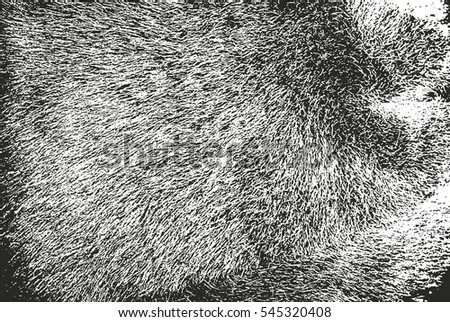Distressed overlay texture of natural fur, grunge vector background. abstract halftone vector illustration