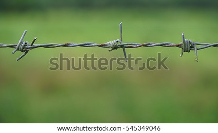 The old barbed wire fence in rice field, Selective focus and blurred background