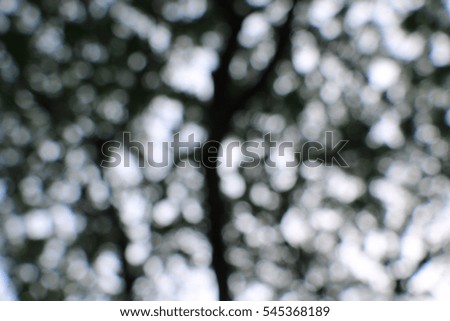 Blur tree branch green bokeh background