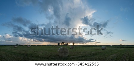Sunset and corn field