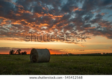 Sunset and corn field