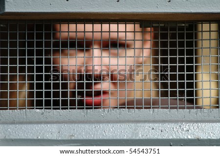 Bars of the prison Royalty-Free Stock Photo #54543751