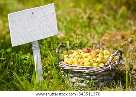 gooseberry in basket and signboard on grass 