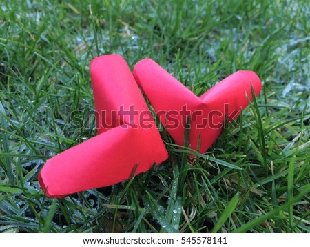 Two folding Paper Red hearts on Green grass fields  in the winter. You can use for greeting card (Happy Valentines Day)