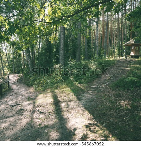 scenic and beautiful tourism trail in the woods near river. latvia. - instant vintage square photo