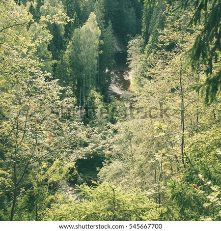 view to the mountain river in summer surrounded by forest and sandstone cliffs - instant vintage square photo
