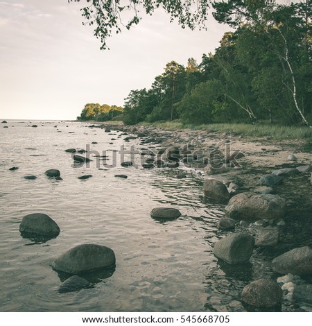rocky beach in the baltic sea with plants and skyline - instant vintage square photo