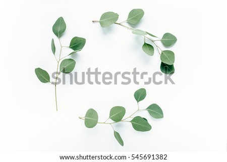 Round frame with branches eucalyptus and leaves isolated on white background. lay flat, top view