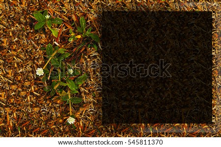 Background, grass, flowers, grass, golden, empty black squares, text.