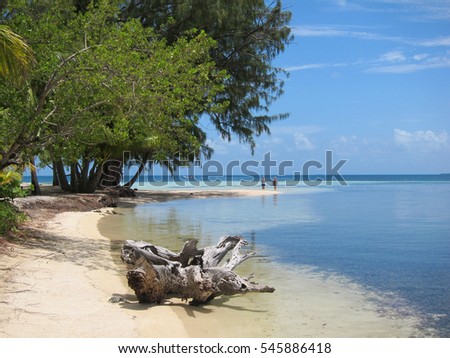 Driftwood on Beach, Tourists in background. South Water Caye, Belize