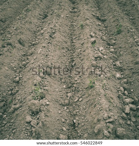Background of newly plowed field ready for new crops. Ploughed field in autumn. Farm, agricultural background - instant vintage square photo
