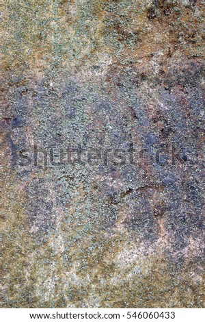 Nature wild stone texture - Background