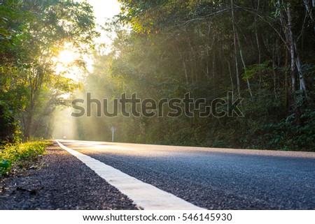 Country road in the morning with golden sunlight Royalty-Free Stock Photo #546145930