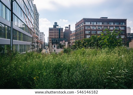 Grasses and view of buildings at the Reading Viaduct in Philadelphia, Pennsylvania.