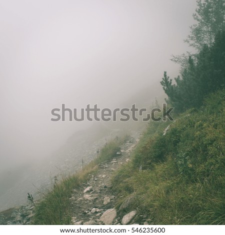 Tatra mountains in Slovakia covered with clouds. autumn colors. - instant vintage square photo