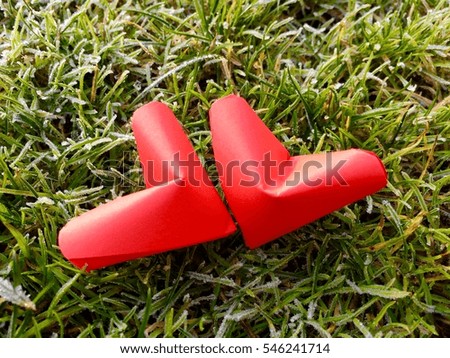 Red paper hearts Isolated on Frosty Green Grass background with sunlight. You can use as Greeting Card for Valentines Day "Happy Birth Valentines Day'"