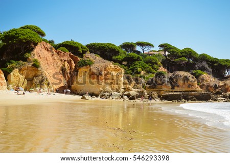 Beach at Olhos de Agua Algarve Portugal seascape and cliffs with palm trees and plants