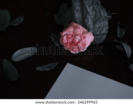 Blank paper with a rose dries out on the wood table.