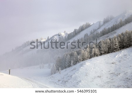 typical winter landscape in the mountains